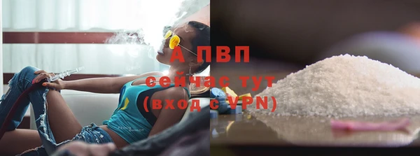 эйфоретик Новокубанск