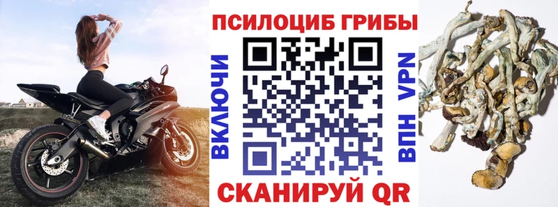 купить наркотики цена  Томилино  Псилоцибиновые грибы Magic Shrooms 